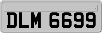 DLM6699