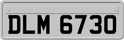 DLM6730