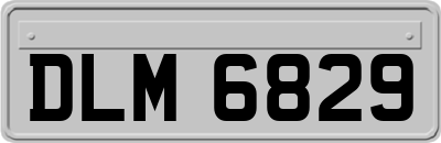DLM6829