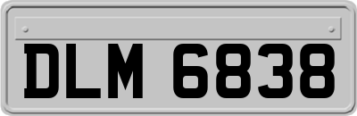 DLM6838