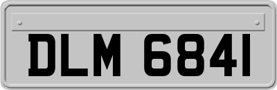 DLM6841