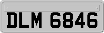 DLM6846