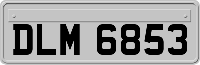 DLM6853