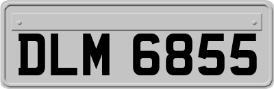 DLM6855
