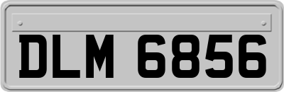 DLM6856