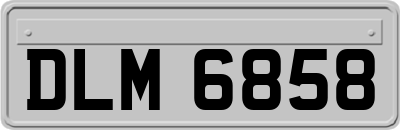 DLM6858