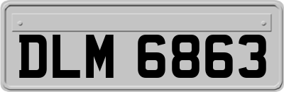 DLM6863