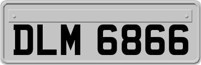 DLM6866