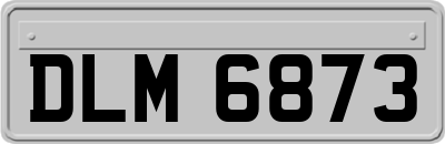DLM6873