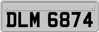DLM6874