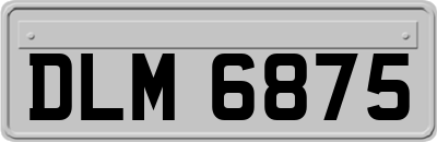 DLM6875
