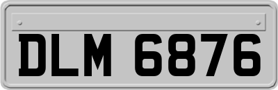 DLM6876