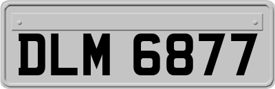 DLM6877