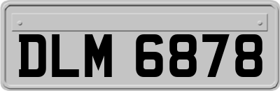 DLM6878