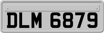DLM6879