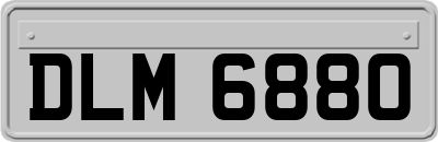 DLM6880