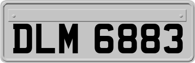 DLM6883