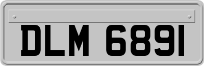 DLM6891