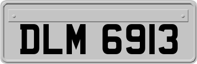 DLM6913