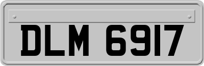 DLM6917
