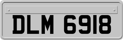 DLM6918
