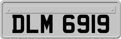 DLM6919