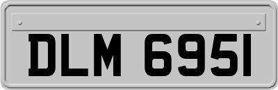 DLM6951