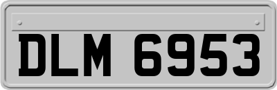 DLM6953
