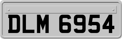 DLM6954