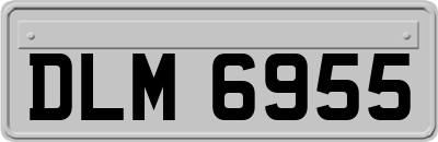 DLM6955