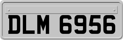 DLM6956