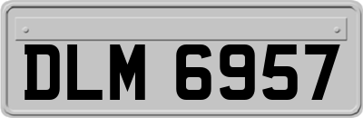DLM6957