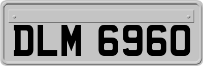 DLM6960