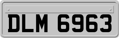 DLM6963