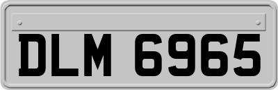 DLM6965