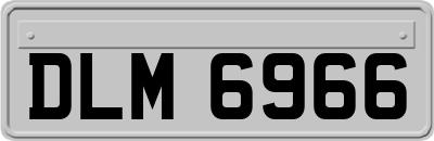 DLM6966