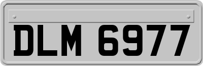 DLM6977