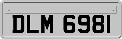 DLM6981