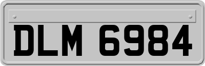 DLM6984