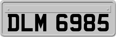 DLM6985