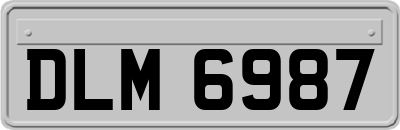 DLM6987
