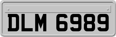 DLM6989