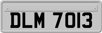 DLM7013