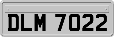 DLM7022