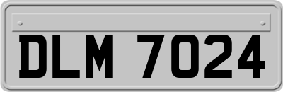 DLM7024