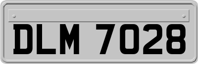 DLM7028
