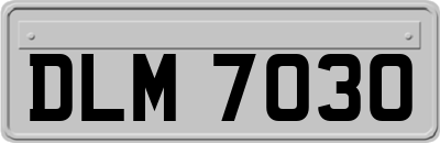 DLM7030