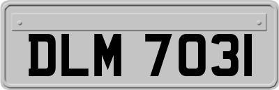 DLM7031