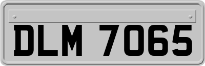 DLM7065