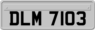 DLM7103